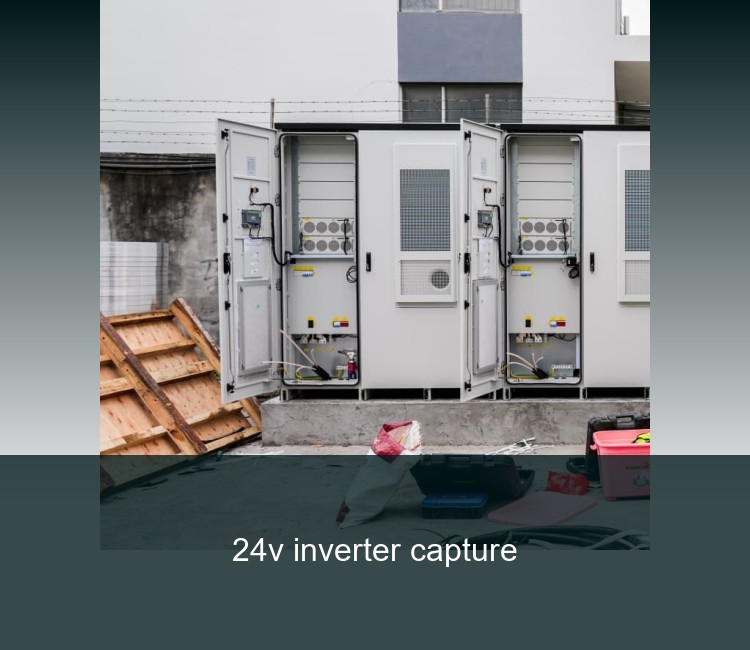 24v inverter capture