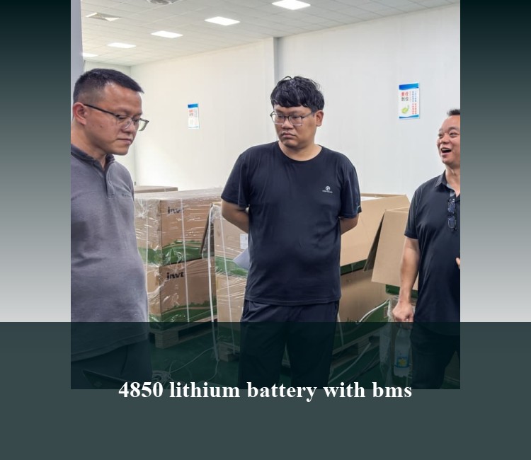 4850 lithium battery with bms
