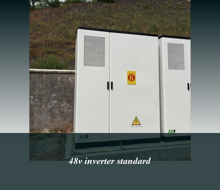 48v inverter standard
