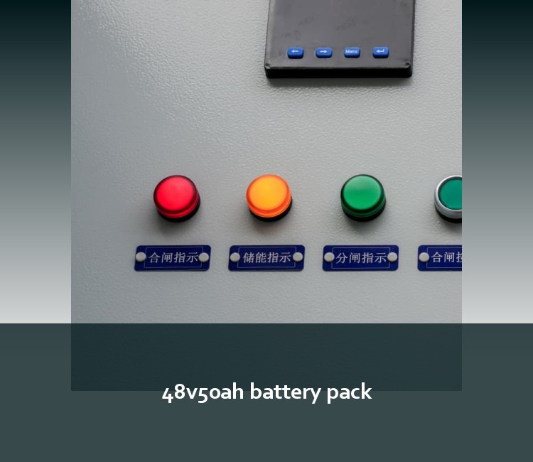 48v50ah battery pack