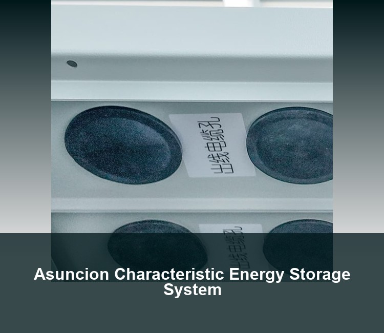 Asuncion Characteristic Energy Storage System