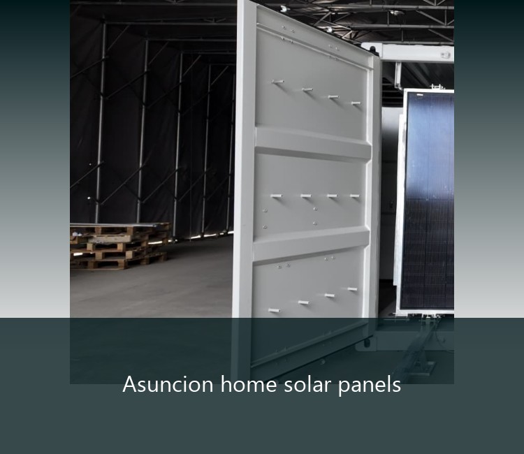 Asuncion home solar panels
