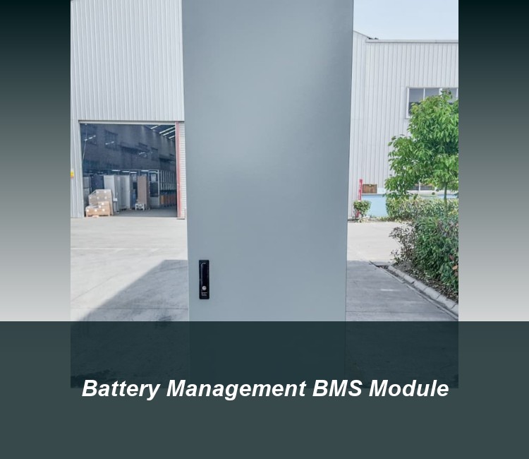 Battery Management BMS Module