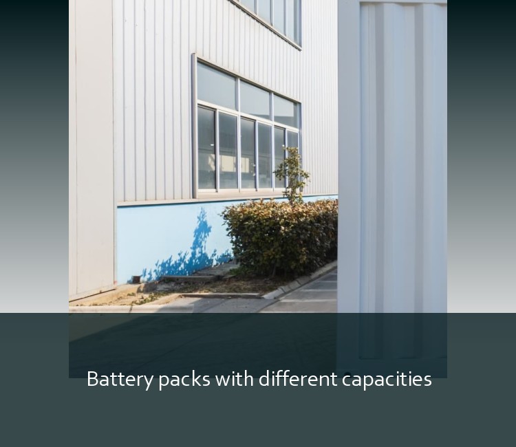 Battery packs with different capacities