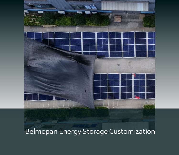 Belmopan Energy Storage Customization