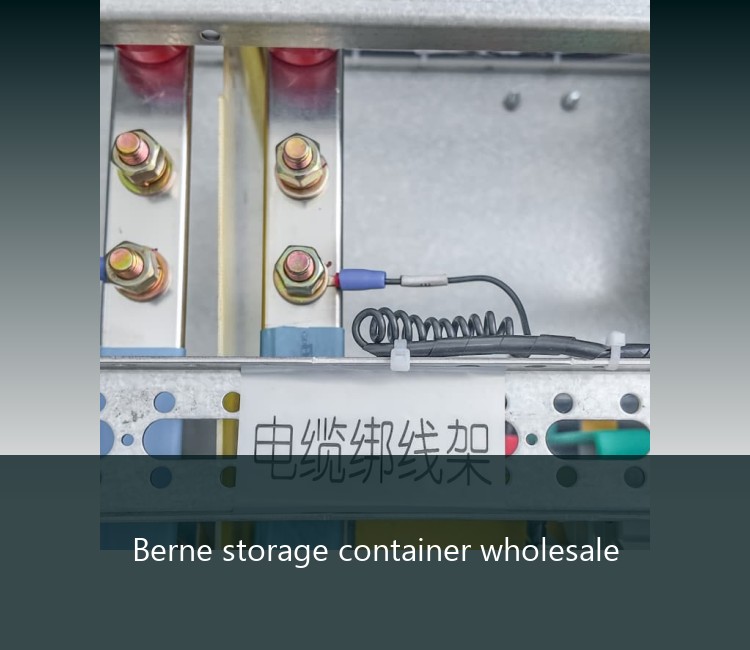 Berne storage container wholesale