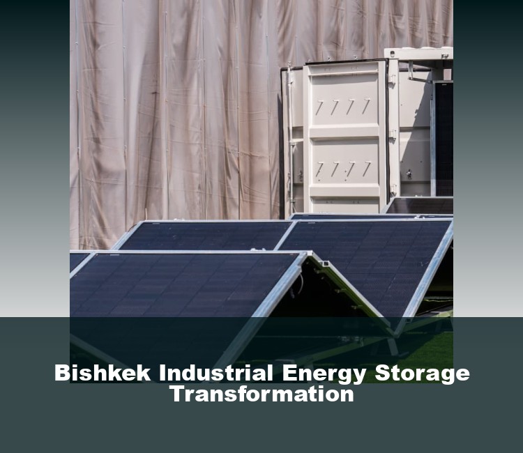 Bishkek Industrial Energy Storage Transformation