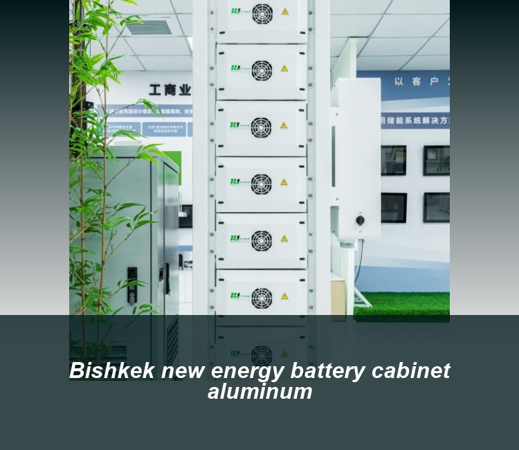 Bishkek new energy battery cabinet aluminum