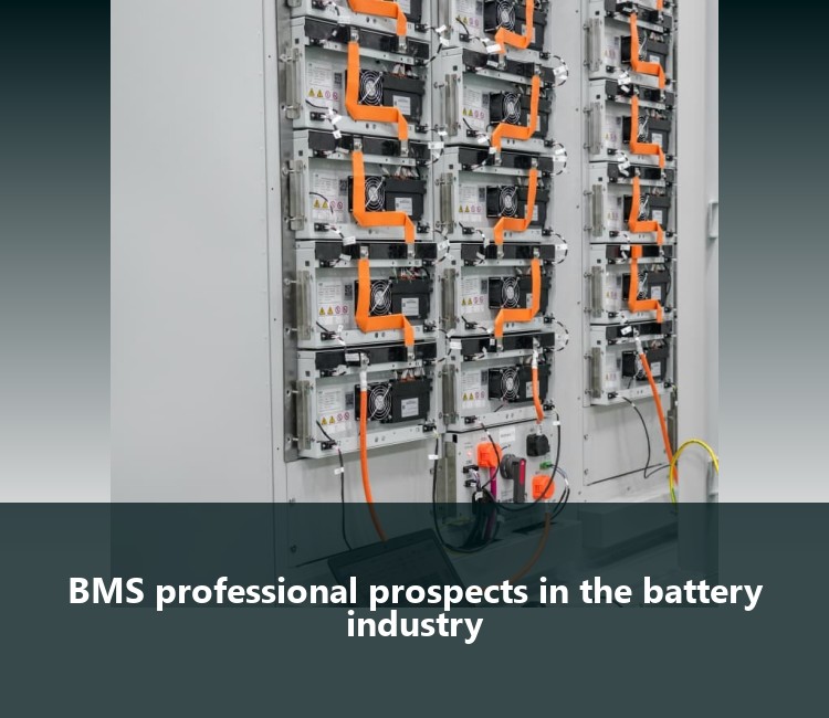 BMS professional prospects in the battery industry