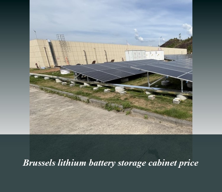 Brussels lithium battery storage cabinet price