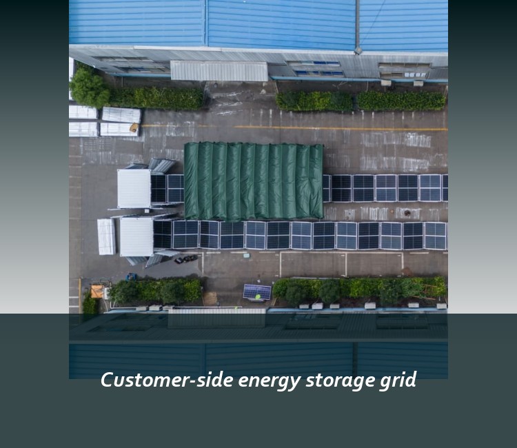Customer-side energy storage grid