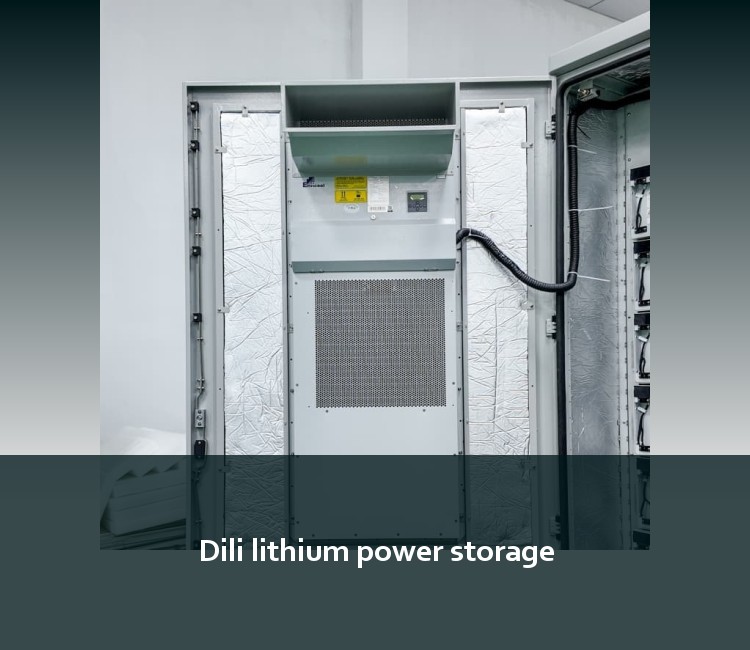 Dili lithium power storage