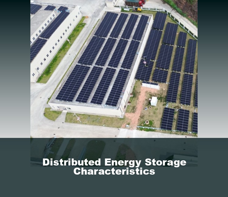 Distributed Energy Storage Characteristics