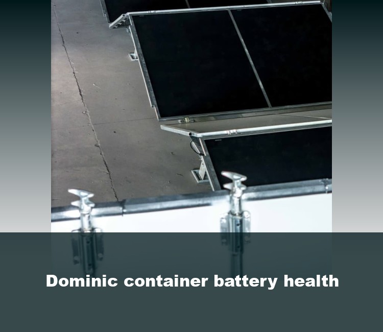 Dominic container battery health