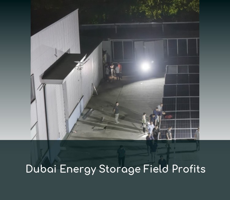 Dubai Energy Storage Field Profits