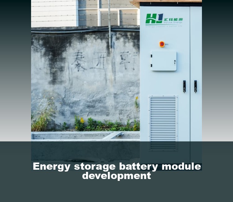 Energy storage battery module development