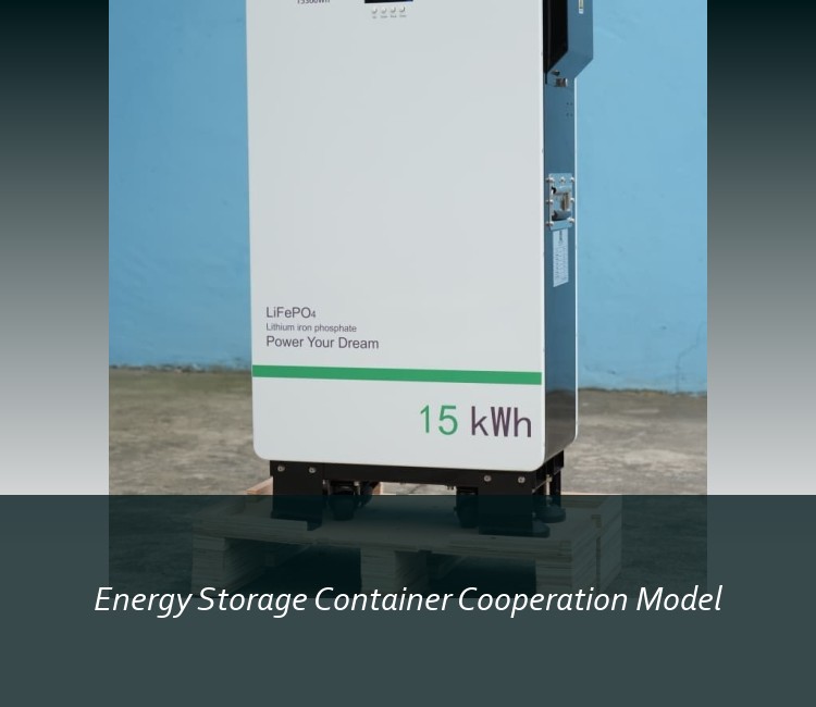 Energy Storage Container Cooperation Model