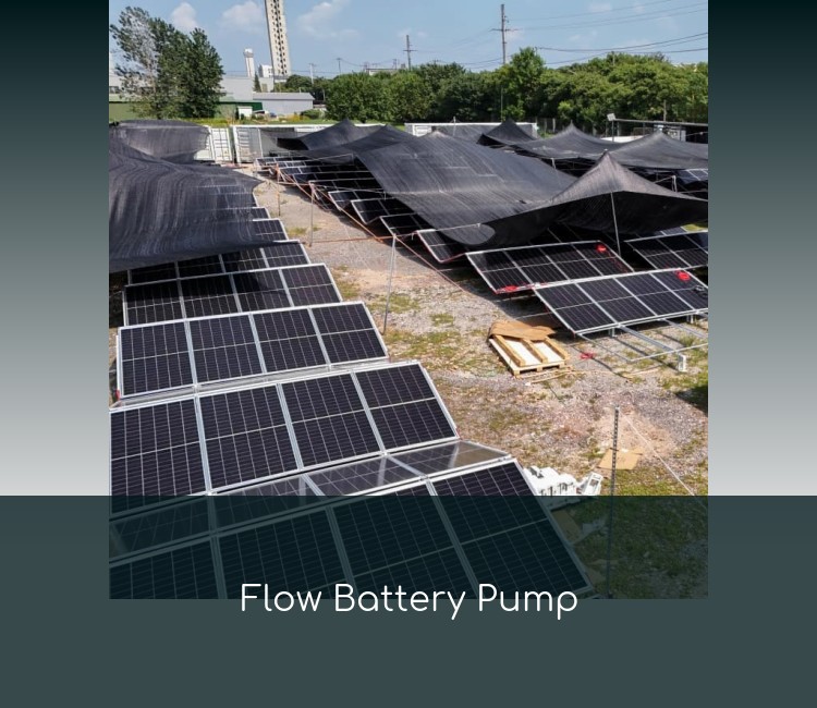 Flow Battery Pump