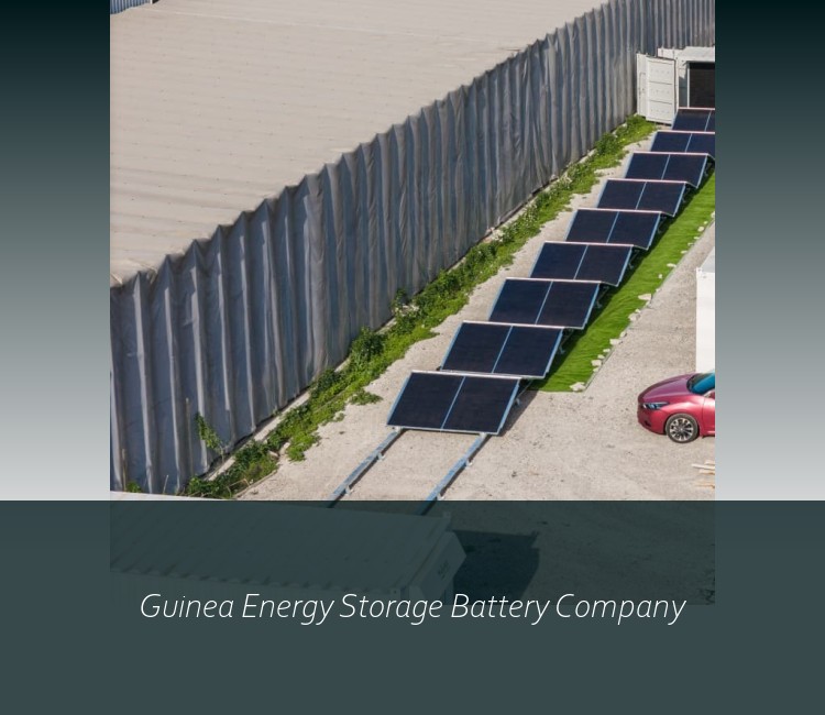 Guinea Energy Storage Battery Company