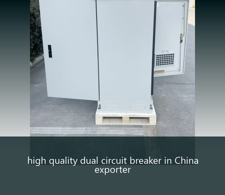 high quality dual circuit breaker in China exporter