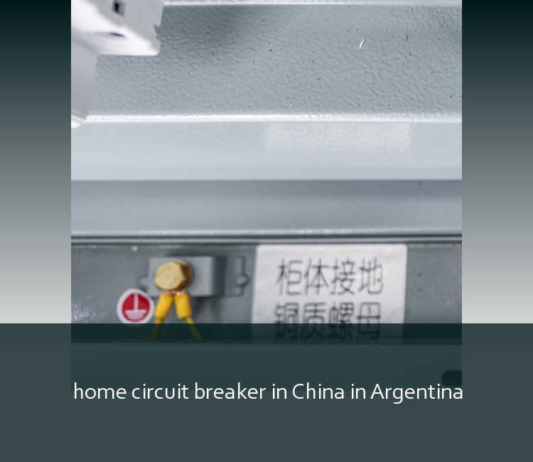 home circuit breaker in China in Argentina