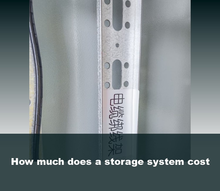 How much does a storage system cost