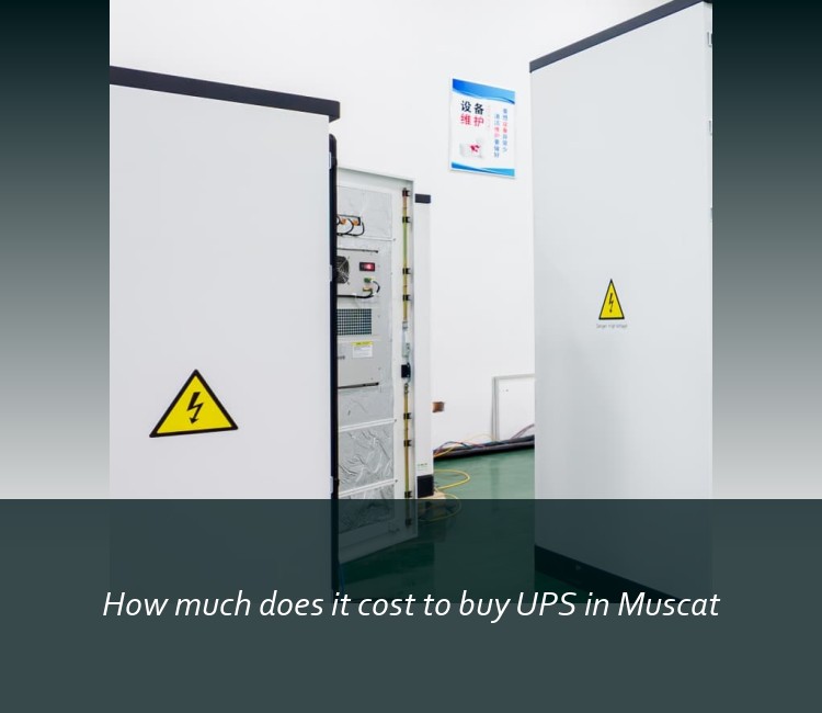 How much does it cost to buy UPS in Muscat