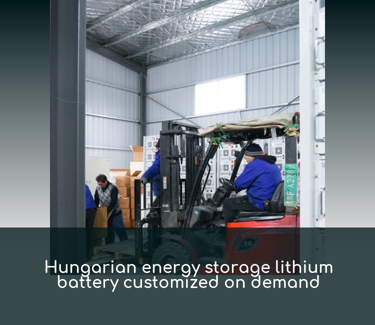Hungarian energy storage lithium battery customized on demand