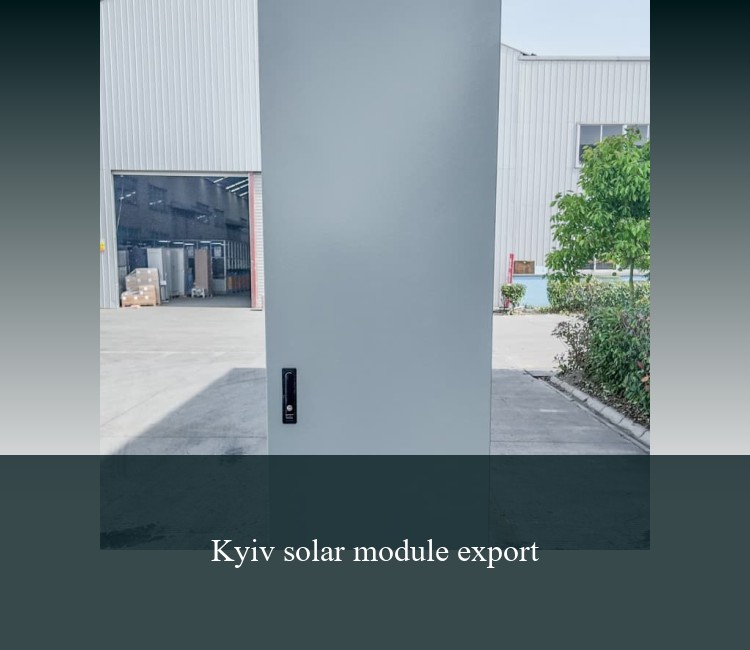 Kyiv solar module export