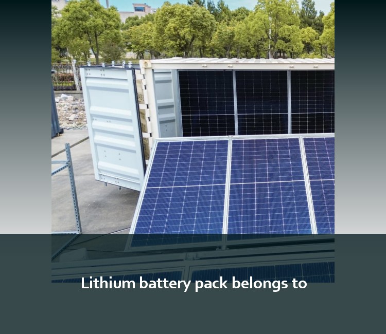Lithium battery pack belongs to