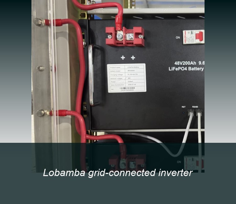Lobamba grid-connected inverter