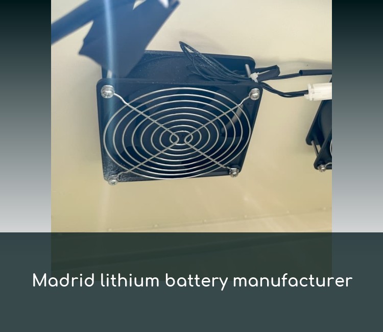 Madrid lithium battery manufacturer