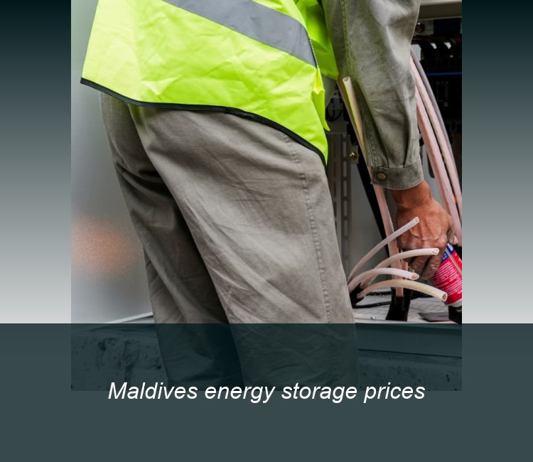 Maldives energy storage prices