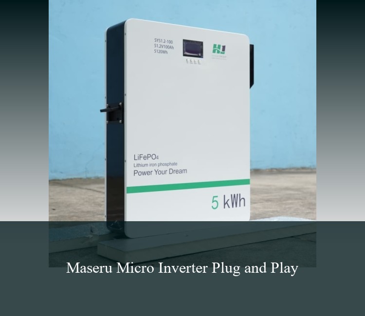 Maseru Micro Inverter Plug and Play