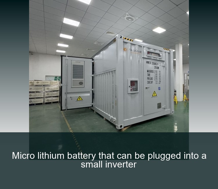 Micro lithium battery that can be plugged into a small inverter