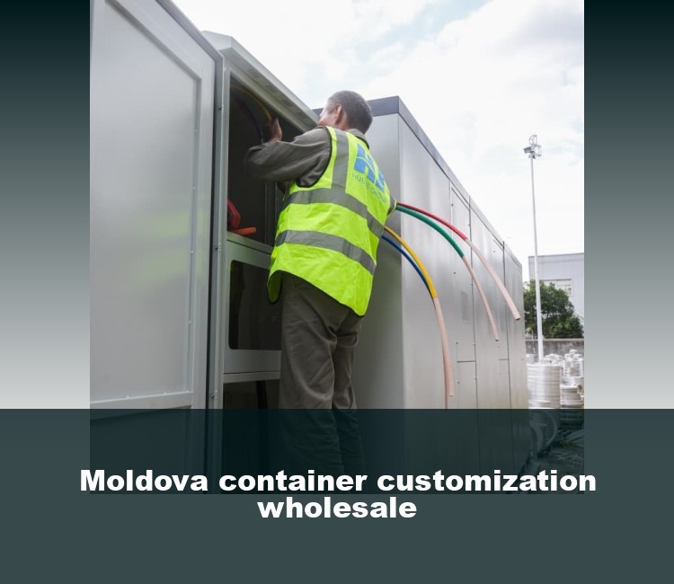 Moldova container customization wholesale
