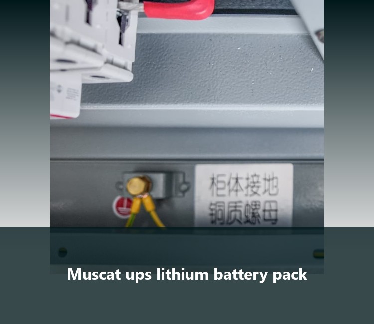 Muscat ups lithium battery pack