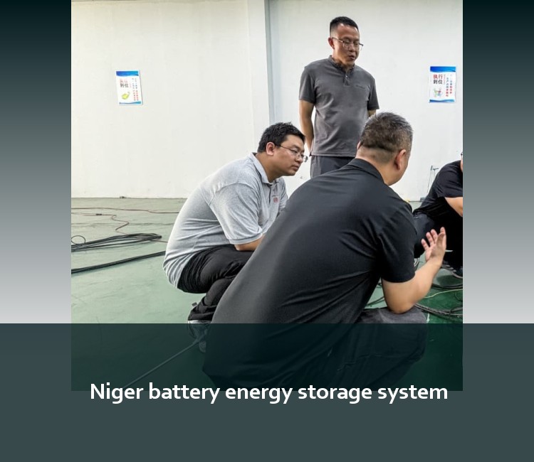 Niger battery energy storage system