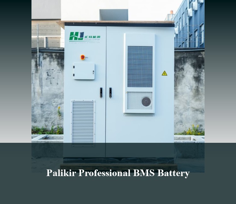 Palikir Professional BMS Battery