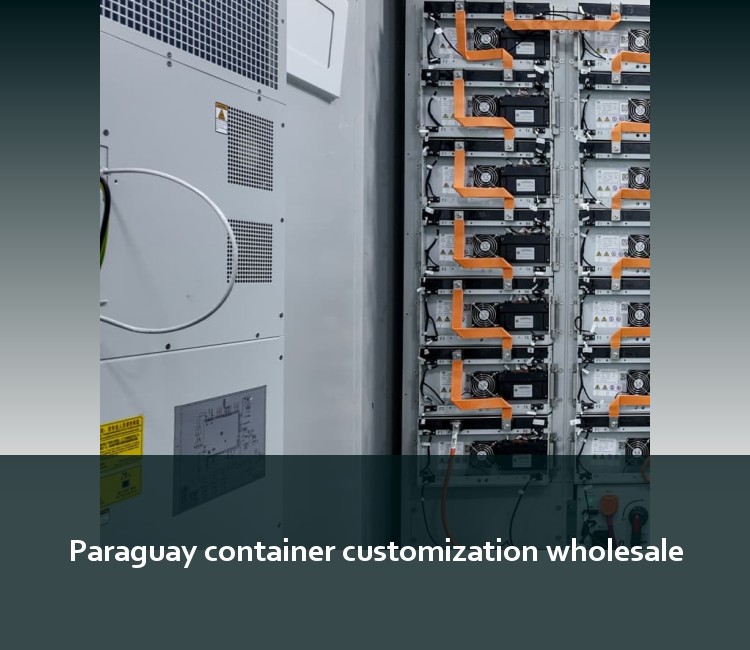 Paraguay container customization wholesale