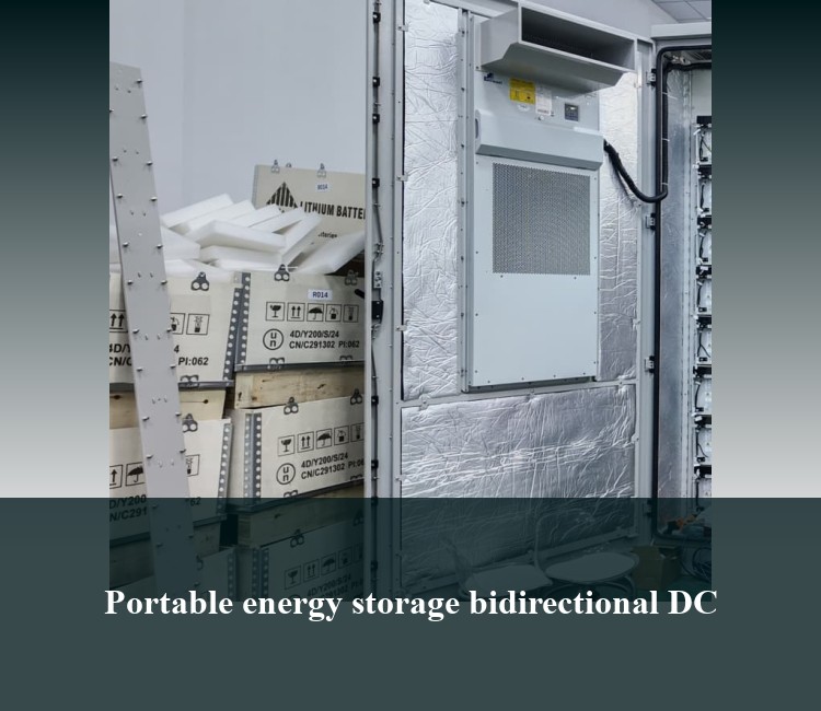 Portable energy storage bidirectional DC