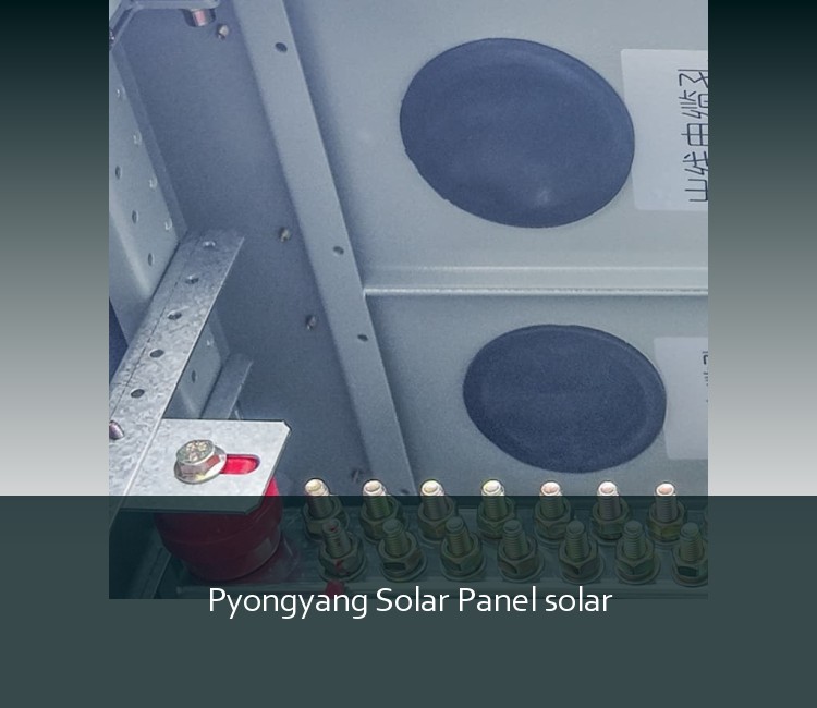 Pyongyang Solar Panel solar
