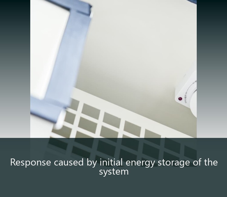Response caused by initial energy storage of the system