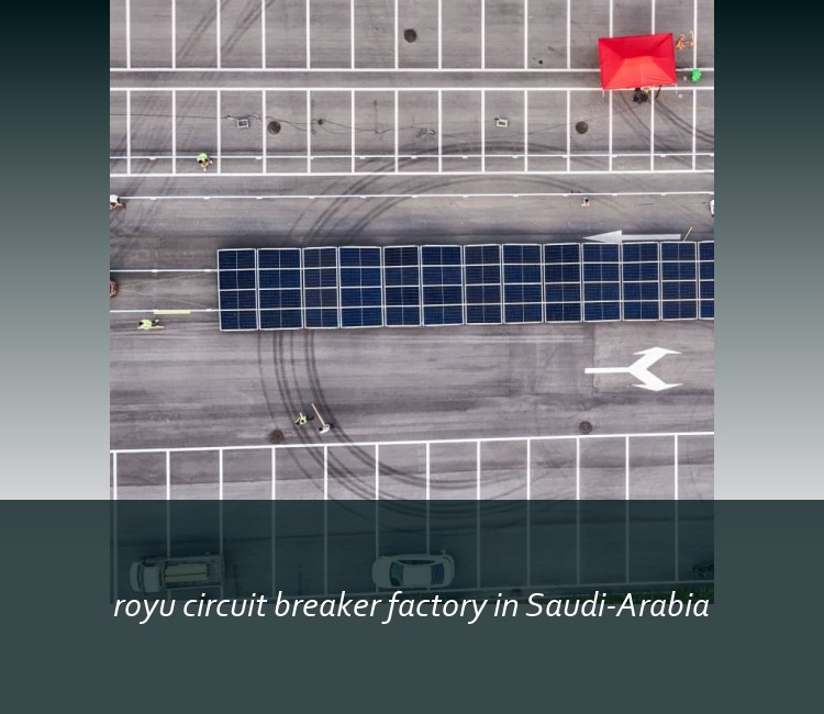 royu circuit breaker factory in Saudi-Arabia