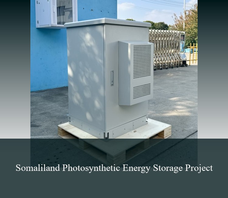 Somaliland Photosynthetic Energy Storage Project