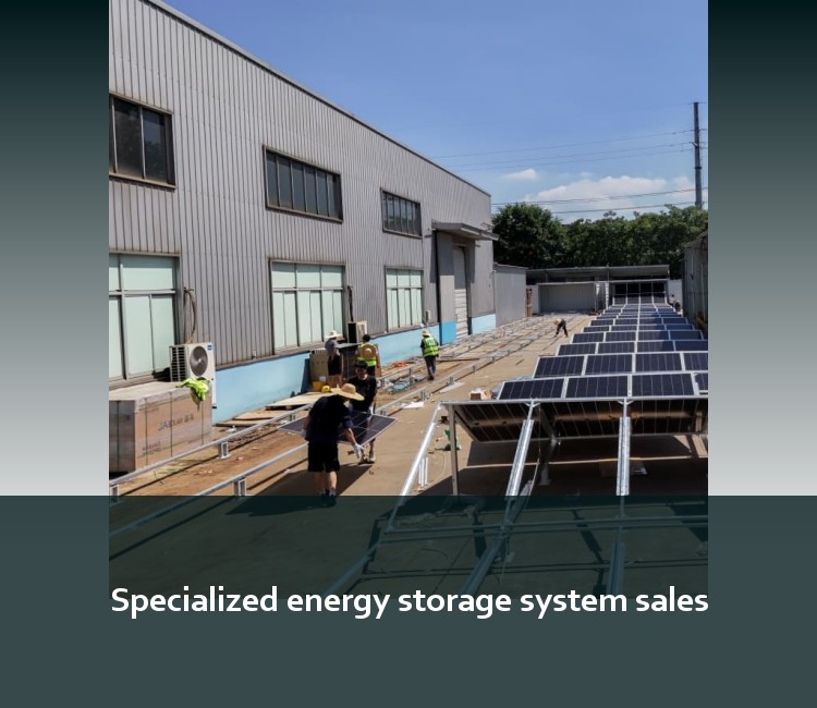 Specialized energy storage system sales
