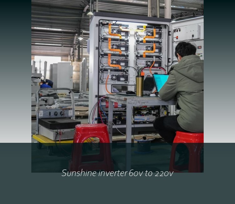 Sunshine inverter 60v to 220v