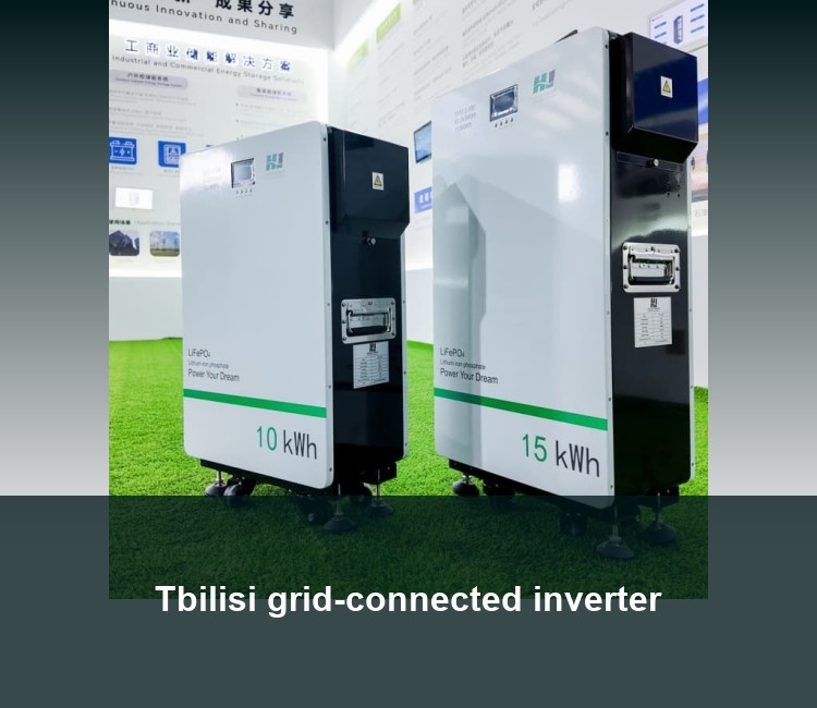 Tbilisi grid-connected inverter