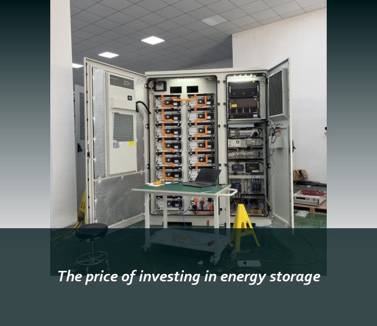 The price of investing in energy storage