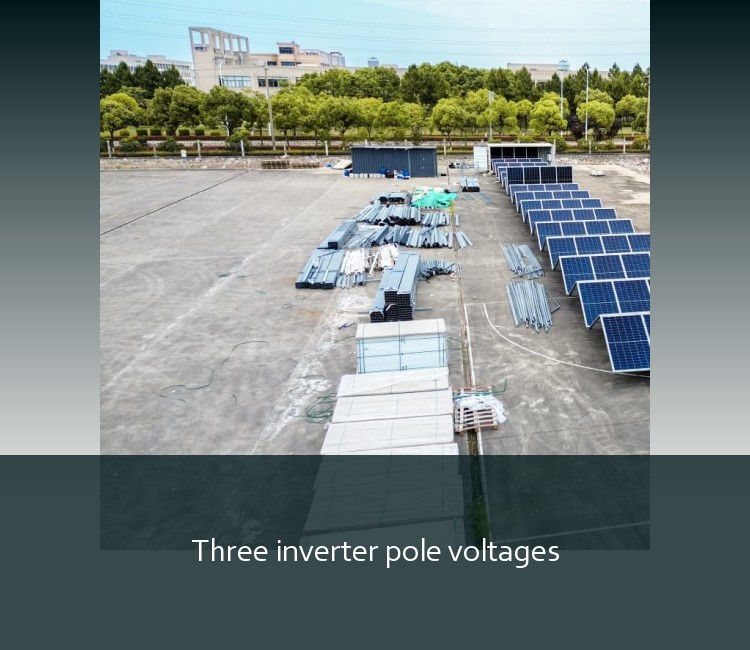 Three inverter pole voltages